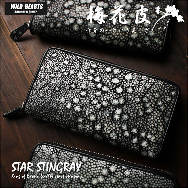 スティングレイ／エイ革 スタースティングレイ ガルーシャ 海の宝石 梅